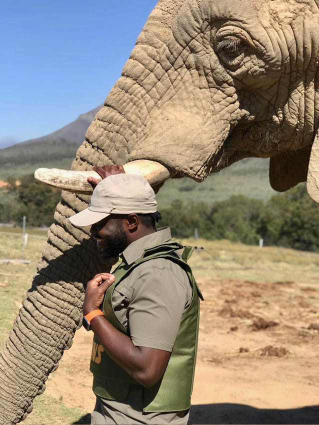 The Kids Dentist Tucson | Extractions, Root Canal Therapy and First Visit