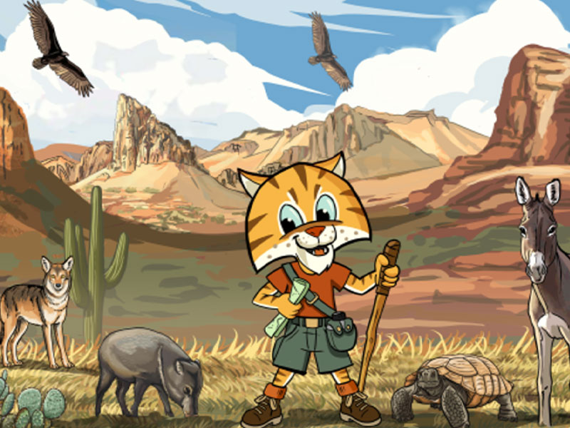 The Kids' Dentist Tucson | Pediatric Dentistry, Extractions and Crowns